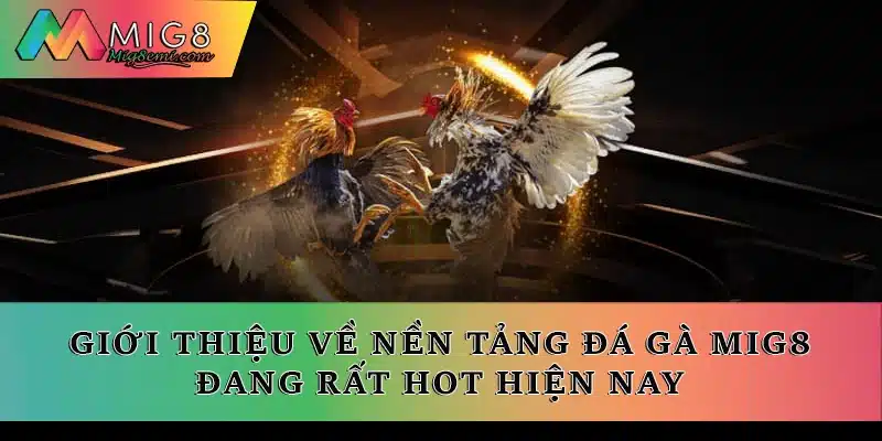 Giới thiệu về nền tảng đá gà Mig8 đang rất hot hiện nay