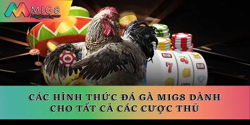 Các hình thức đá gà Mig8 dành cho tất cả các cược thủ
