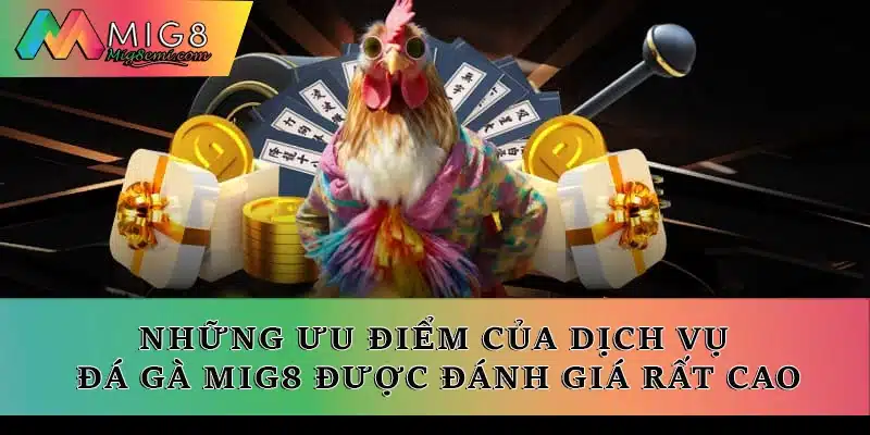 Những ưu điểm của dịch vụ đá gà Mig8 được đánh giá rất cao